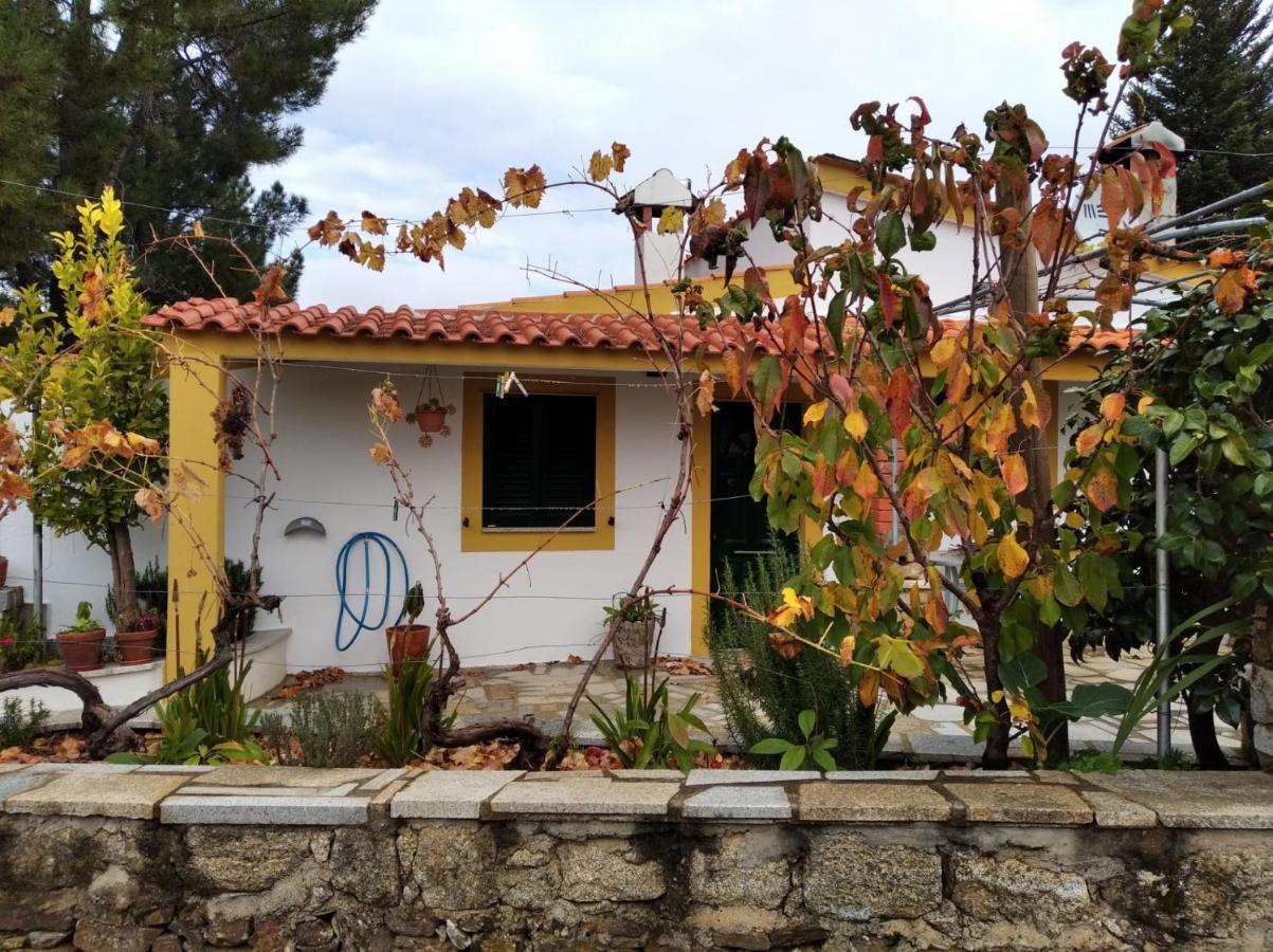 Casas De Campo Em Cerejal Villa Fundao Exterior photo